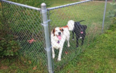 Repair Your Chain Link Fence so it is as Good as New!
