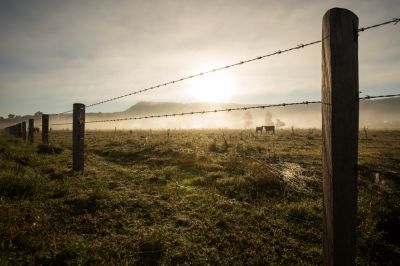 Barbed Wire Fence Installation