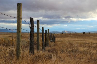 Protect Your Property and Provide Boundaries with Cattle Fencing!