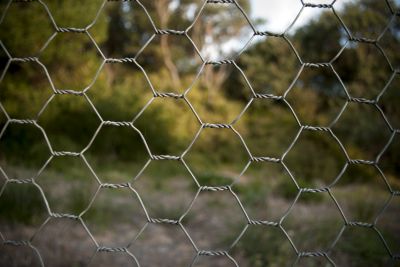Chicken Wire Fence Repair