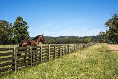 Keep Children and Animals Secured Inside the Property!