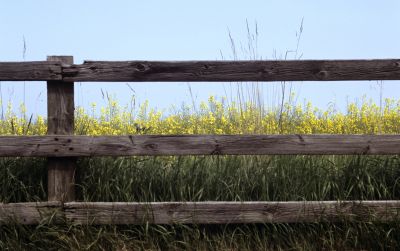 Improve the Appearance of Your Fence with Fence Railing Replacement!