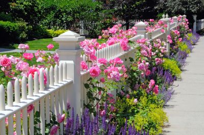 Keeping Your Picket Fence in Good Condition is Vital To The Longevity of Your Fence