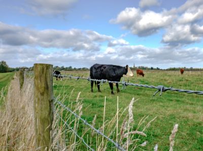 Ensure The Safety and Security of Your Property By Getting Professional Fence Repair!