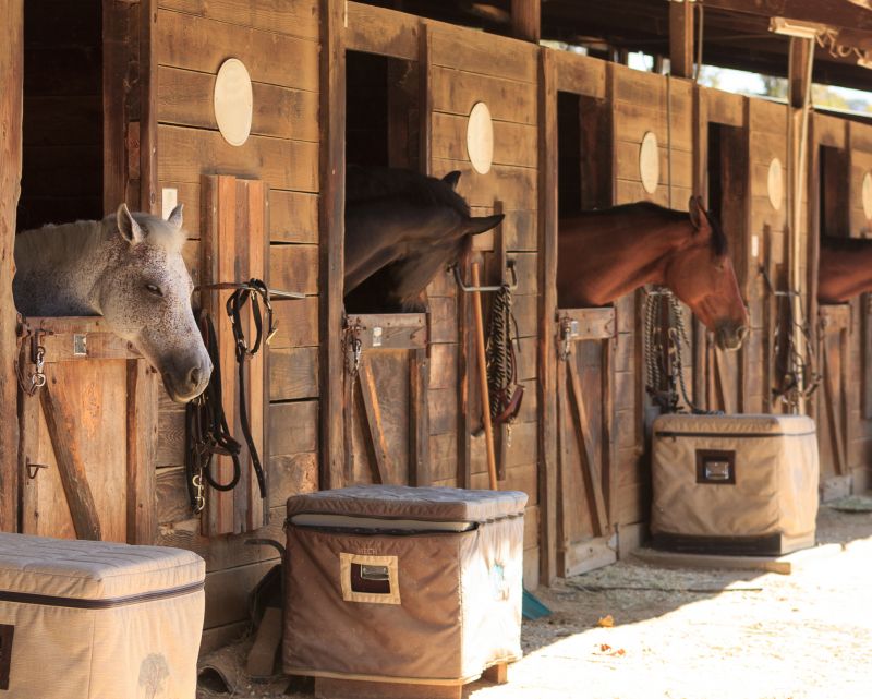 Repairing damaged stalls prevents injuries from broken boards, loose nails